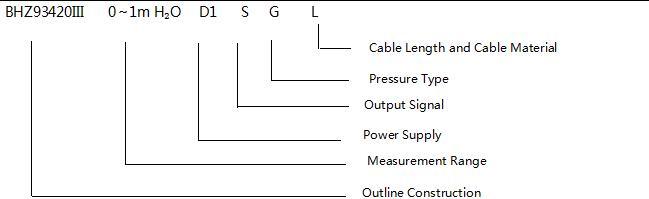 BHZ93420-III Sensor Tingkat Cairan Transmitter 0.1% Keakuratan Sensor Tingkat Air 4 20ma 6
